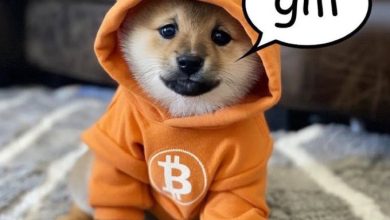 $DOG, wrapped in an iconic orange Bitcoin hoodie, kicks off the day with a bold "gm," radiating unstoppable Bitcoin energy and meme-fueled dominance across the crypto world.