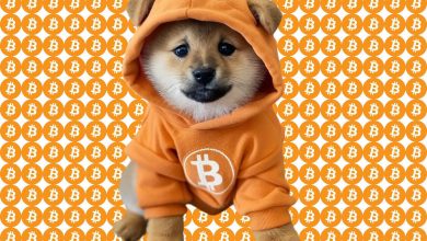 $DOG merges with the memepool—one with the Bitcoin signal, zero fiat noise. Orange hoodie, orange background, orange coin. Total BTC saturation achieved.