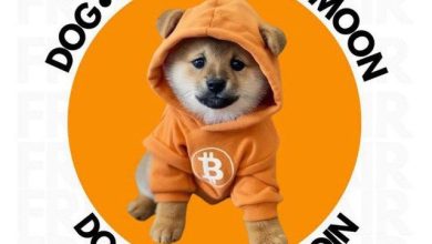 $DOG strapped in the orange suit, locked on a lunar trajectory straight from Satoshi’s launchpad. No alt detours — just Bitcoin thrusters and max meme velocity.