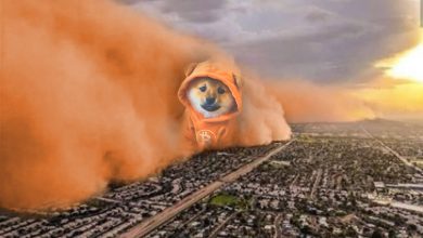 An unstoppable orange cloud rolls in—$DOG at the center, hoodie blazing, vaporizing weak hands and fiat dreams. Bitcoin is the weather now.