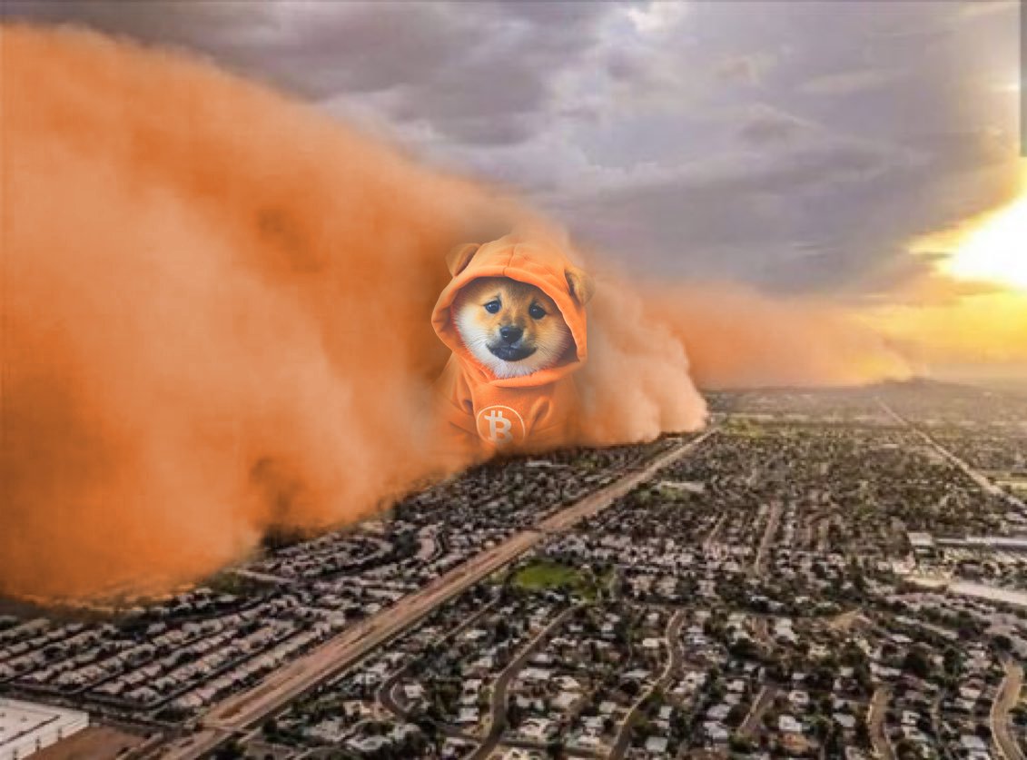 An unstoppable orange cloud rolls in—$DOG at the center, hoodie blazing, vaporizing weak hands and fiat dreams. Bitcoin is the weather now.