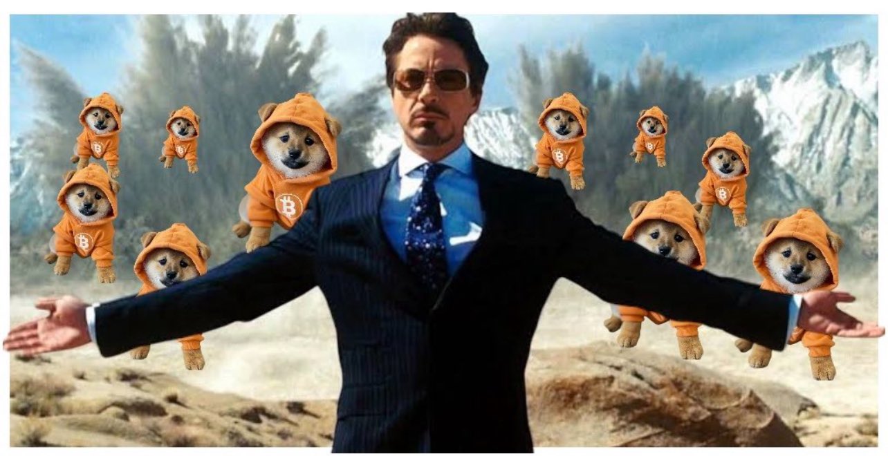 As the dust settles, Bitcoin rains down in orange-furred glory. $DOGs everywhere, suit optional, sats mandatory. This isn’t a flex — it’s a monetary revolution.
