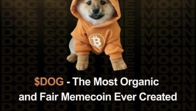 No presale, no whales, no puppet masters—just pure memetic fire. $DOG wears the orange with pride, backed by Bitcoin values and zero centralized BS.