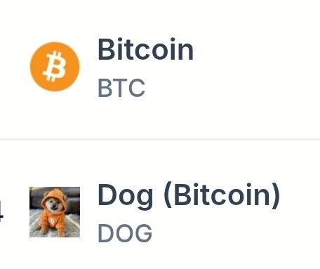 From meme to mainnet, $DOG now stands side-by-side with Bitcoin on the ticker. BTC for the blocks, $DOG for the culture — both hard as sats.