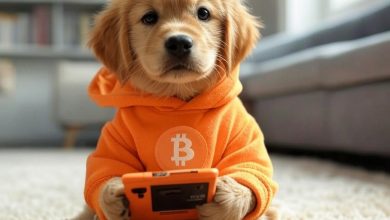 Don’t let the Game Boy fool you—$DOG’s mining stats and memeing charts between blocks. Bitcoin hoodie on, fingers steady, sats up only.