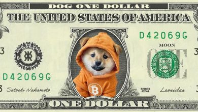 When the dollar collapses, this is what they’ll find in the ruins. $DOG in the center, Bitcoin in the code, Satoshi's autograph sealed in history. Legal tender for meme lords only.