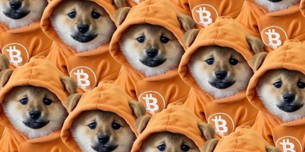 One memecoin, infinite $DOGs—each wrapped in Bitcoin armor and ready to swarm fiat illusions. Resistance is futile when the meme supply goes 21 million strong.