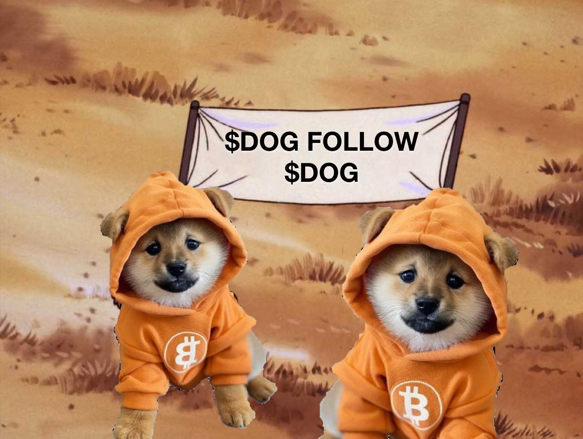 When $DOG follows $DOG, the memetic recursion hits terminal velocity. Bitcoin hoodie? Check. Infinite signal? Verified. This is how cults of sound money begin.