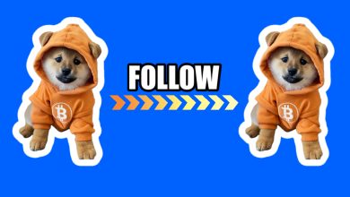 No influencers, no shills—just $DOGs following $DOGs on a Bitcoin path paved with memes. Orange hoodie verified. Signal only.