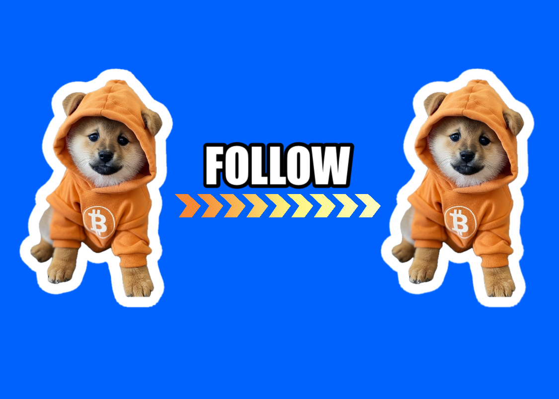 No influencers, no shills—just $DOGs following $DOGs on a Bitcoin path paved with memes. Orange hoodie verified. Signal only.