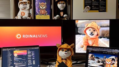Multiple screens, plush nodes, and orange-hooded legends on standby—$DOG runs ops from mission control. No team allocation, just pure memetic decentralization.