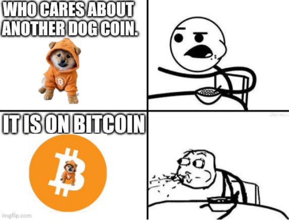 "Another dog coin?" they scoffed—until they heard it runs on Bitcoin. One sat later, minds blown and bags packed. $DOG isn’t barking. It’s block-chaining.