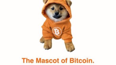 $DOG isn’t just cute—it’s protocol-aligned. Decked out in Bitcoin orange, $DOG embodies pure decentralization with zero VC fluff and full memetic power.