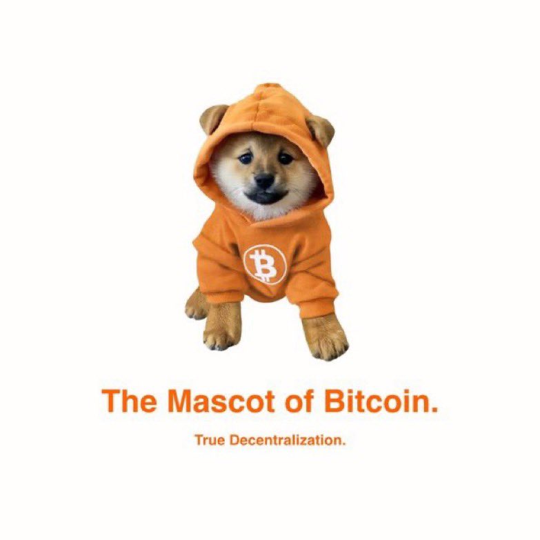 $DOG isn’t just cute—it’s protocol-aligned. Decked out in Bitcoin orange, $DOG embodies pure decentralization with zero VC fluff and full memetic power.