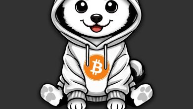No VC crumbs, no backdoor mint—just pure Bitcoin-native chaos for the people. $DOG was born fair, but it plays to dominate. Bitcoin Runes crowned it. This hoodie’s cute, but $DOG's on a warpath.