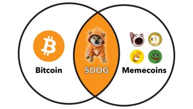 Born from Bitcoin, bred for memes $DOG isn’t in the middle, it is the moment. Memecoin clout meets Bitcoin base layer. Nothing else even touches it.