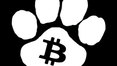 $DOG stamped its claim across Bitcoin blockspace like a beast. That’s not a footprint, that’s a Rune flex. Bitcoin DeFi just got pawed by the loudest memecoin alive.