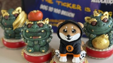 Among fake gods and fiat idols, $DOG sits crowned in Bitcoin drip, no team, no VC, just pure chain energy. These aren’t toys. They’re relics from the rise of the strongest memecoin on Bitcoin. $DOG isn’t lucky. It’s inevitable.