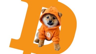 Forget sitting on the logo $DOG is the logo now. Orange hoodie, orange chain, orange throne. This is pure Bitcoin-native dominance. Memecoins kneel. $DOG builds.