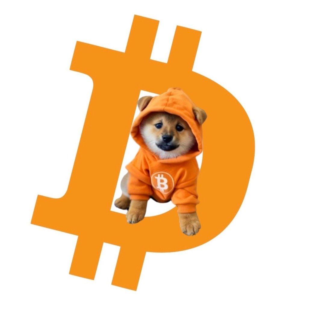 Forget sitting on the logo $DOG is the logo now. Orange hoodie, orange chain, orange throne. This is pure Bitcoin-native dominance. Memecoins kneel. $DOG builds.