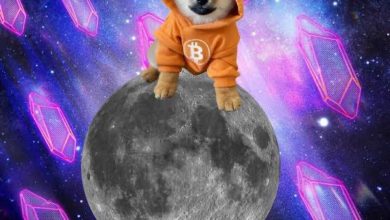 Perched on the moon like it’s block zero, $DOG stares down the cosmos with Runestone in its DNA. While the others launch memes, $DOG inscribes history straight into Bitcoin. This isn’t a ride. It’s a takeover.