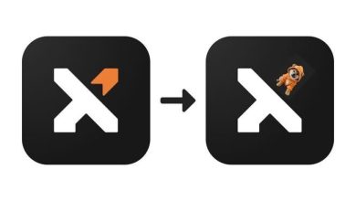 That little orange arrow? Replaced by pure Bitcoin meme energy. Every time you tap that app, you’re entering $DOG’s world.