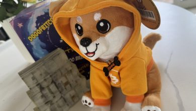 Soft exterior, chain-scorching interior, don’t let the hoodie fool you. This plush holds more power than half the memecoins out there. Bitcoin-fueled, community-forged, zero mercy. Cuddly? Sure. But it's here to wipe the floor with the clowns.