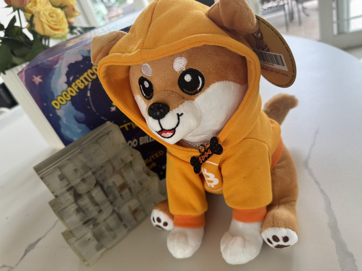 Soft exterior, chain-scorching interior, don’t let the hoodie fool you. This plush holds more power than half the memecoins out there. Bitcoin-fueled, community-forged, zero mercy. Cuddly? Sure. But it's here to wipe the floor with the clowns.