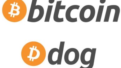 Bitcoin laid the code. $DOG brought the culture. Now it’s all one chain, one mission. This isn’t a typo - it’s the future. The memecoin throne belongs to $DOG.