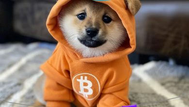One year deeper, one chain louder $DOG didn’t age, it upgraded. Bitcoin gave it life. The memecoin world gave it targets. Blow out the candles, then blow past every other token.