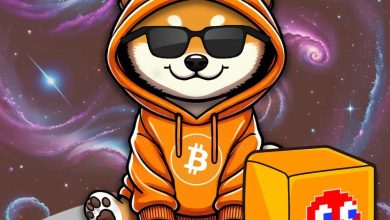 Posted on the moon with shades, drip, and a pixel block of dominance—$DOG isn’t playing, it’s winning. Bitcoin is the engine. Memes are the fuel. The leaderboard belongs to $DOG now. Next level? Already inscribed.