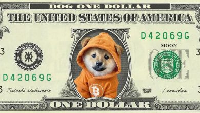 This ain’t legal tender—it’s legendary ticker. Backed by Runes, stamped by Satoshi, denominated in chaos. $DOG isn’t chasing dollars. It’s clowning them. New reserve currency: inscribed, decentralized, unstoppable.