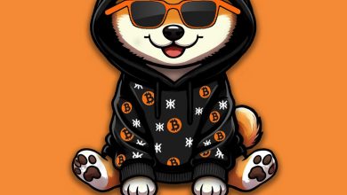 Bitcoin hoodie patterned with power. Shades on. Runestone in the DNA. This ain’t “ready”—this is inevitable. $DOG isn’t prepping for the moment—it is the moment. Suit up or get swept.