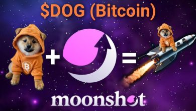 Put a Bitcoin hoodie on the loudest memecoin, plug it into a launchpad, and watch the chain melt. This isn’t a moon mission—it’s a cross-chain meme warhead. $DOG doesn’t launch. It detonates.
