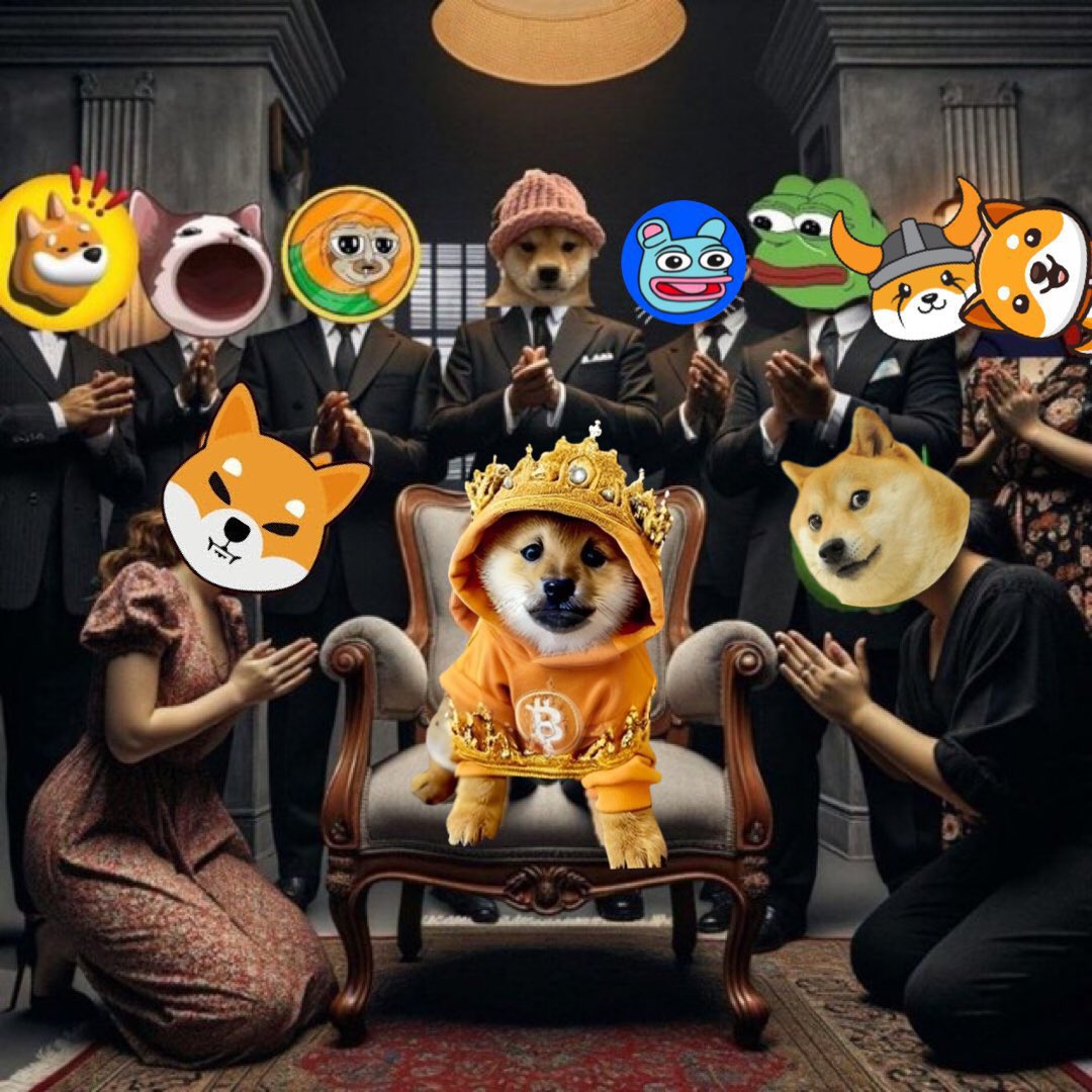 Every memecoin that came before now bows to the Bitcoin-etched king. No VC deals. No fake pumps. Just pure $DOG dominance forged through Runes and chaos. The coronation isn’t coming—it already happened.