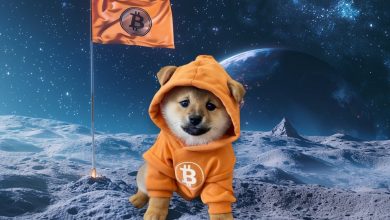 No hype. No countdown. Just $DOG landing hard, hoodie on, and claiming territory for the chain. While others dream of moons, $DOG inscribes them. Bitcoin is the rocket. $DOG is the flag.
