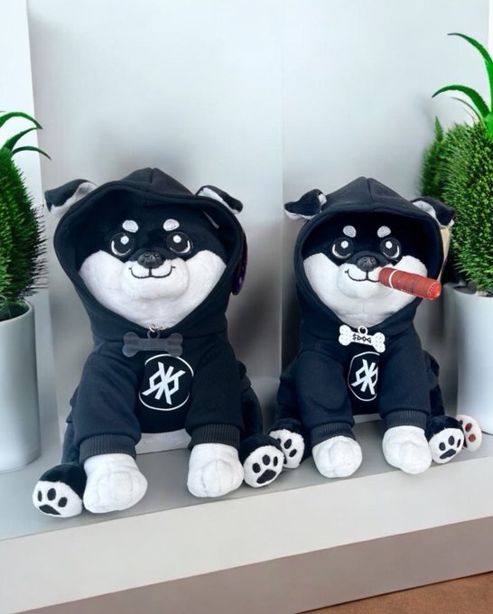 These aren’t plushies—they’re Bitcoin-native hitmen in stealth hoodies. Cigar lit, collars tagged, zero mercy. $DOG is running missions while the others chase trends. Rune-coded. Chain-backed. Dressed to disrupt.