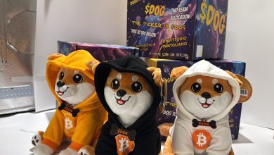 Three fits, one mission—take Bitcoin memecoins to the stratosphere. No team allocation, no VC leash. Just pure $DOG supply and full-chain drip. If it’s not in a hoodie, it’s not from the block.