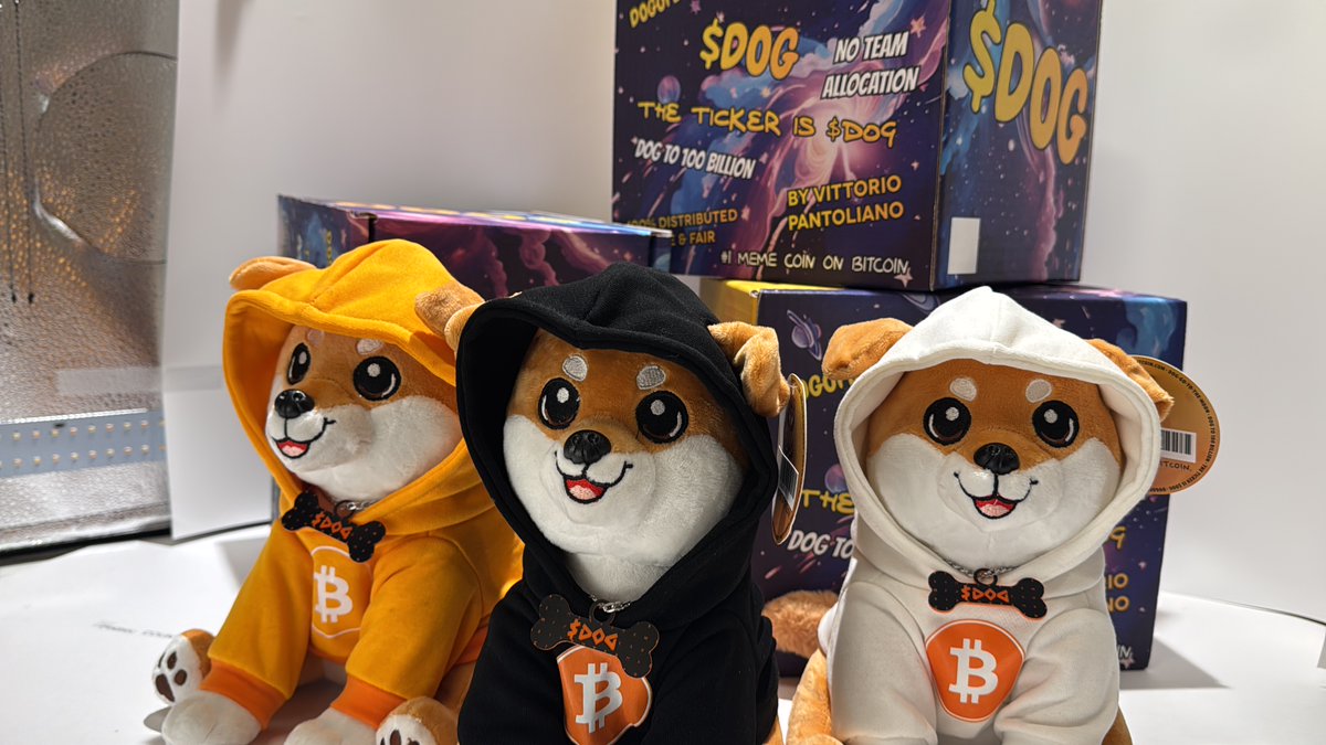 Three fits, one mission—take Bitcoin memecoins to the stratosphere. No team allocation, no VC leash. Just pure $DOG supply and full-chain drip. If it’s not in a hoodie, it’s not from the block.