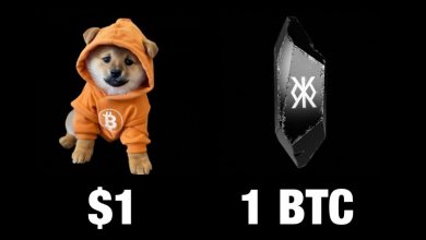 $DOG eats fiat for breakfast and mints Runes by lunch. From floor price to full chain dominance, this Bitcoin memecoin prints prophecy. You holding paper or the future?