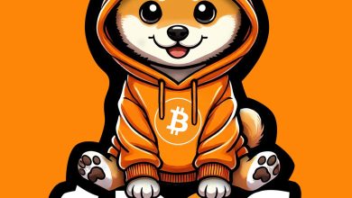 $DOG isn’t just on Bitcoin—it is Bitcoin culture, wrapped in hype and hoodie. From meme to movement, $DOG is the apex predator of the Bitcoin chain. Ordinals? Runes? DeFi? $DOG runs it all.