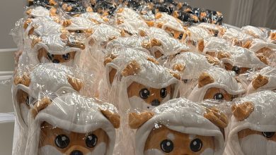Rows of $DOG plushies prepped for global memetic deployment Bitcoin on their chests, Runes in their soul, bags in orbit This isn’t merch—it’s mass adoption, soft and unstoppable