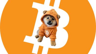 $DOG just rug-pulled the ₿ symbol This isn’t branding, it’s a full protocol takeover Bitcoin’s strongest memecoin didn’t knock, it inscribed itslef in