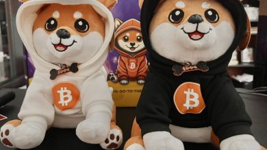 $DOG plushies stacking harder than BTC cold wallets Bitcoin Runes? Check. Ordinals? Inscribed. Merch? Unstoppable Real builders collect $DOG like satoshis on a dip.