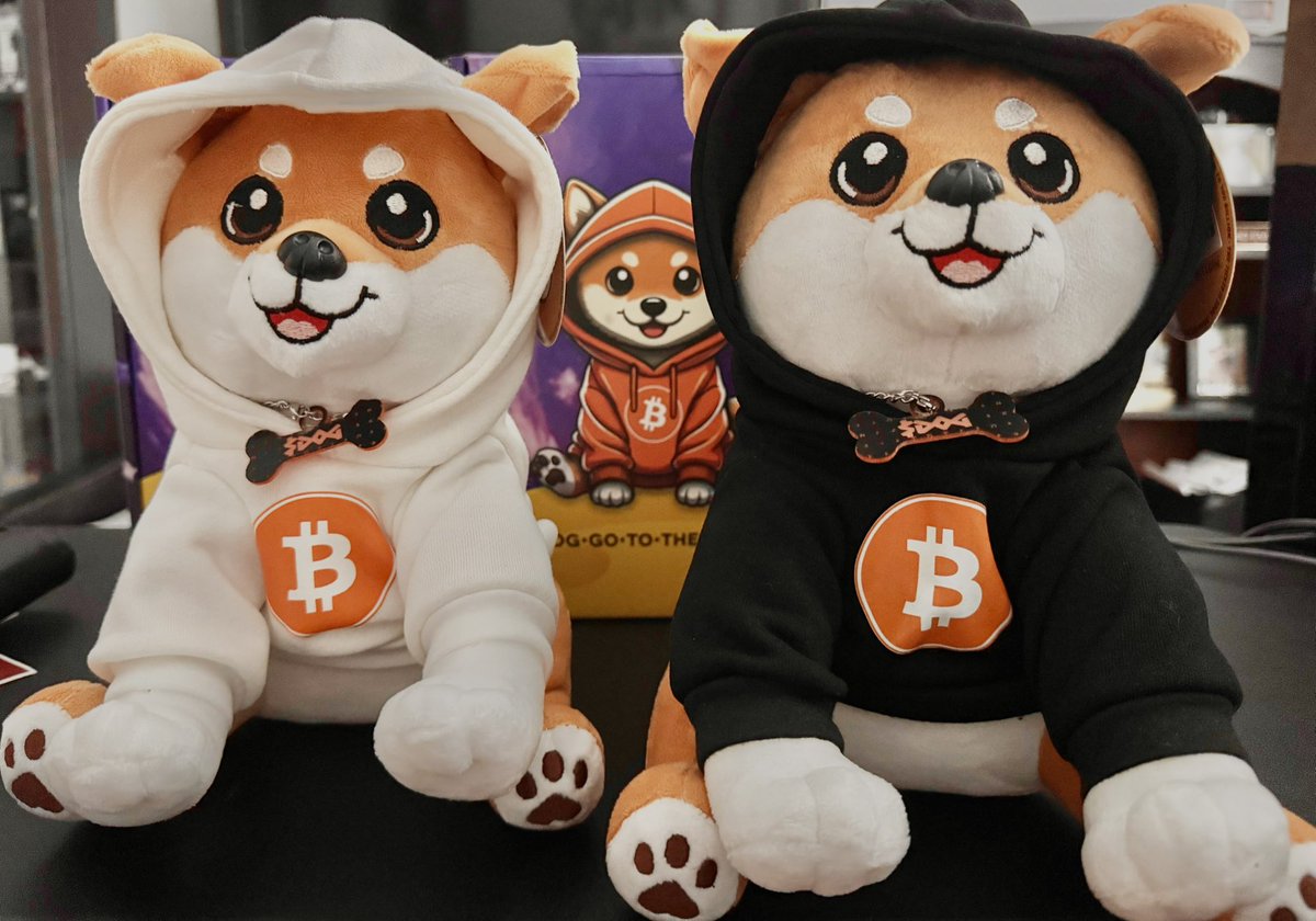 $DOG plushies stacking harder than BTC cold wallets Bitcoin Runes? Check. Ordinals? Inscribed. Merch? Unstoppable Real builders collect $DOG like satoshis on a dip.