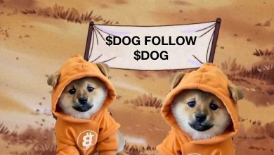 Bitcoin doesn’t wait and neither does $DOG. Ordinals inscribed, Runes locked, memecoin dominance inevitable. This isn’t a trend. It’s the Bitcoin-native movement marching forward.