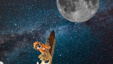 $DOG just left Earth's crust powered by Bitcoin blockspace and meme velocity. The moon isn’t the target—it’s the warm-up. Bitcoin DeFi builders strapped in tight.