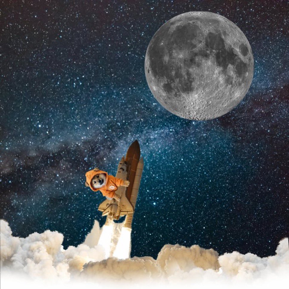 $DOG just left Earth's crust powered by Bitcoin blockspace and meme velocity. The moon isn’t the target—it’s the warm-up. Bitcoin DeFi builders strapped in tight.