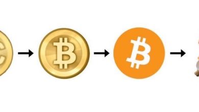 From proto-coin chaos to peer-to-peer perfection—then came the meme. $DOG isn’t the future of Bitcoin, it’s the punchline the whitepaper forgot. Decentralized money was cool, but $DOG made it culture.