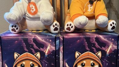 These aren’t toys—they’re soft nodes running full Bitcoin consensus. From inscription to injection mold, $DOG went full-stack on culture. DOG GO TO THE MOON isn’t a slogan. It’s the packaging for planetary domination.